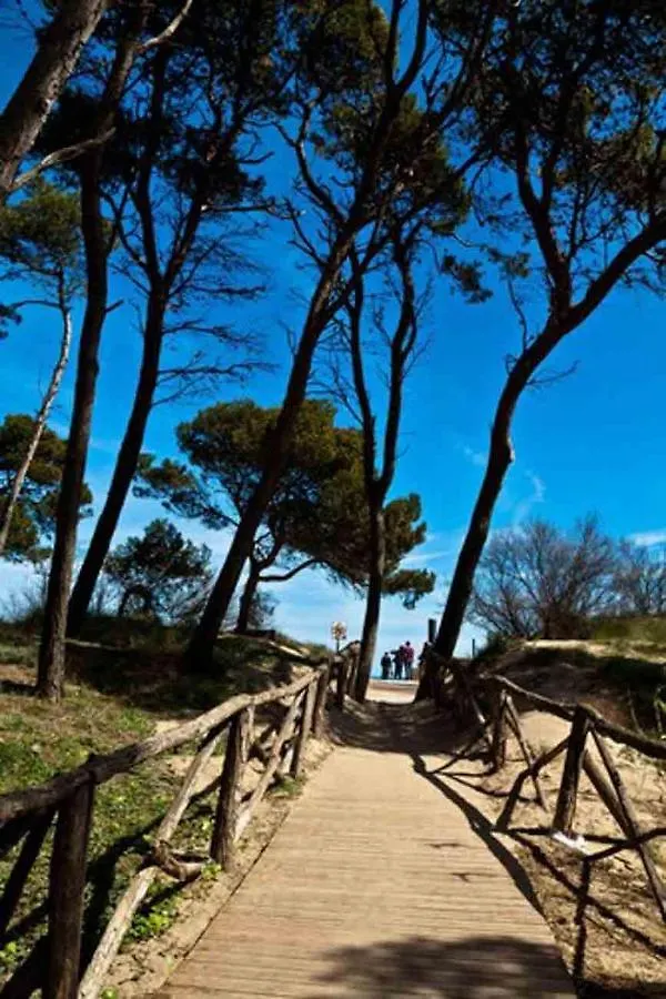 Primerisima Linea De Mar. Hutg 038644-53 L' Escala