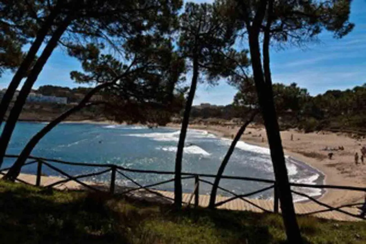 Primerisima Linea De Mar. Hutg 038644-53 L' Escala